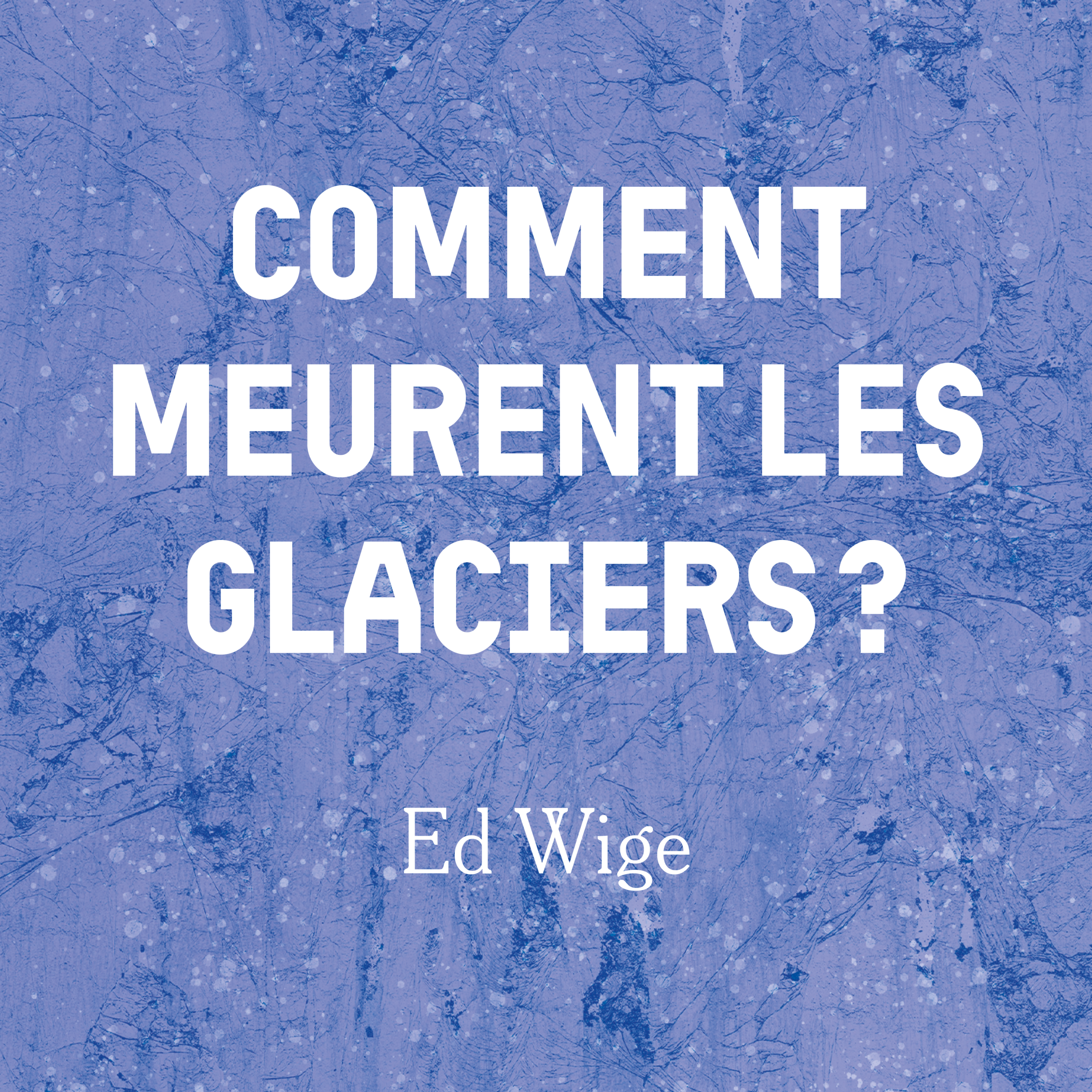 Image au survol